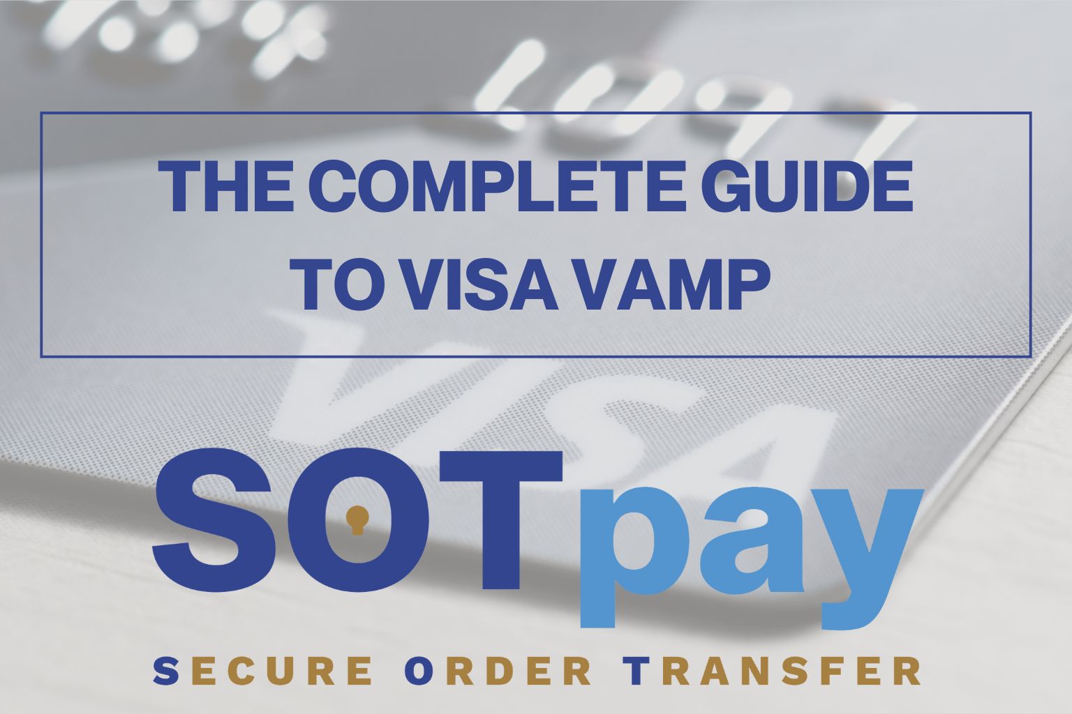 The Complete Guide to Visa VAMP